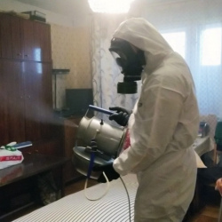 Дезинфекция от клопов в Нолинске